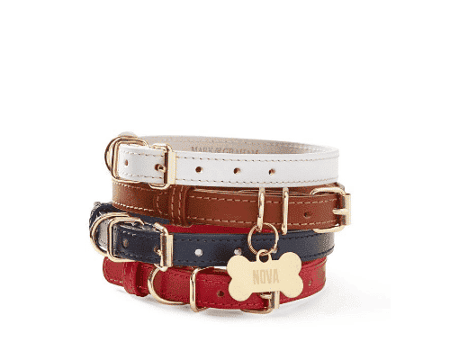 Accessoires voor honden