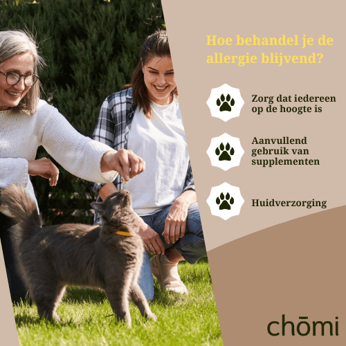 mijn kat is allergisch hoe behandel ik dit blijvend