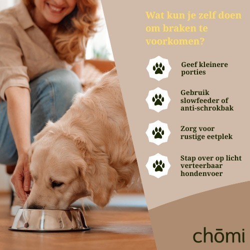 Hond geeft over na eten – Wat te doen? 2 wat kun je zelf doen om braken te voorkomen