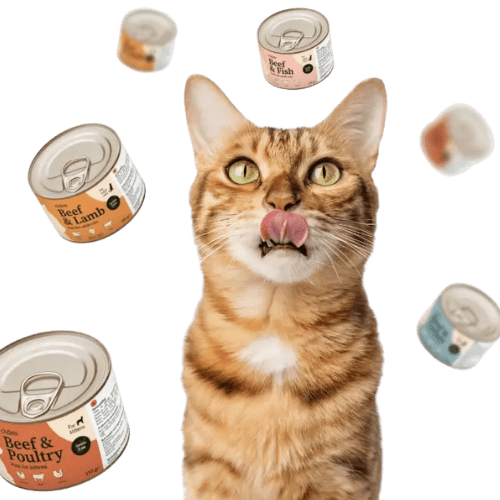 natvoer katten