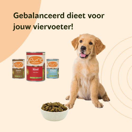 natvoer voor jouw hond