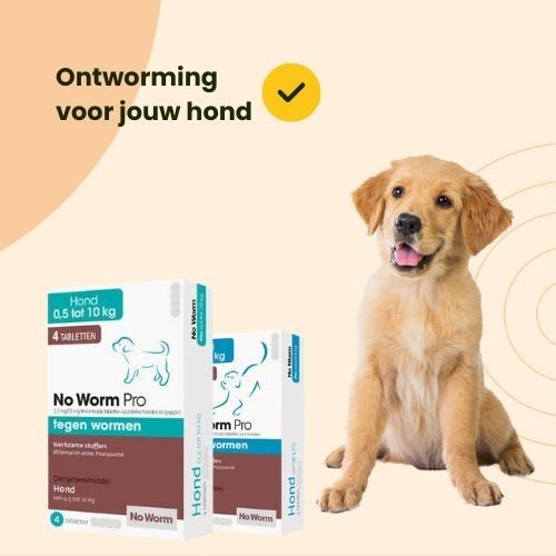 ontworming voor honden