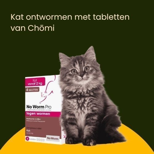 ontwormingstabletten kopen