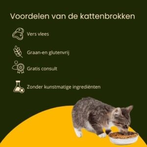 wat zijn voordelen van onze kattenbrokken