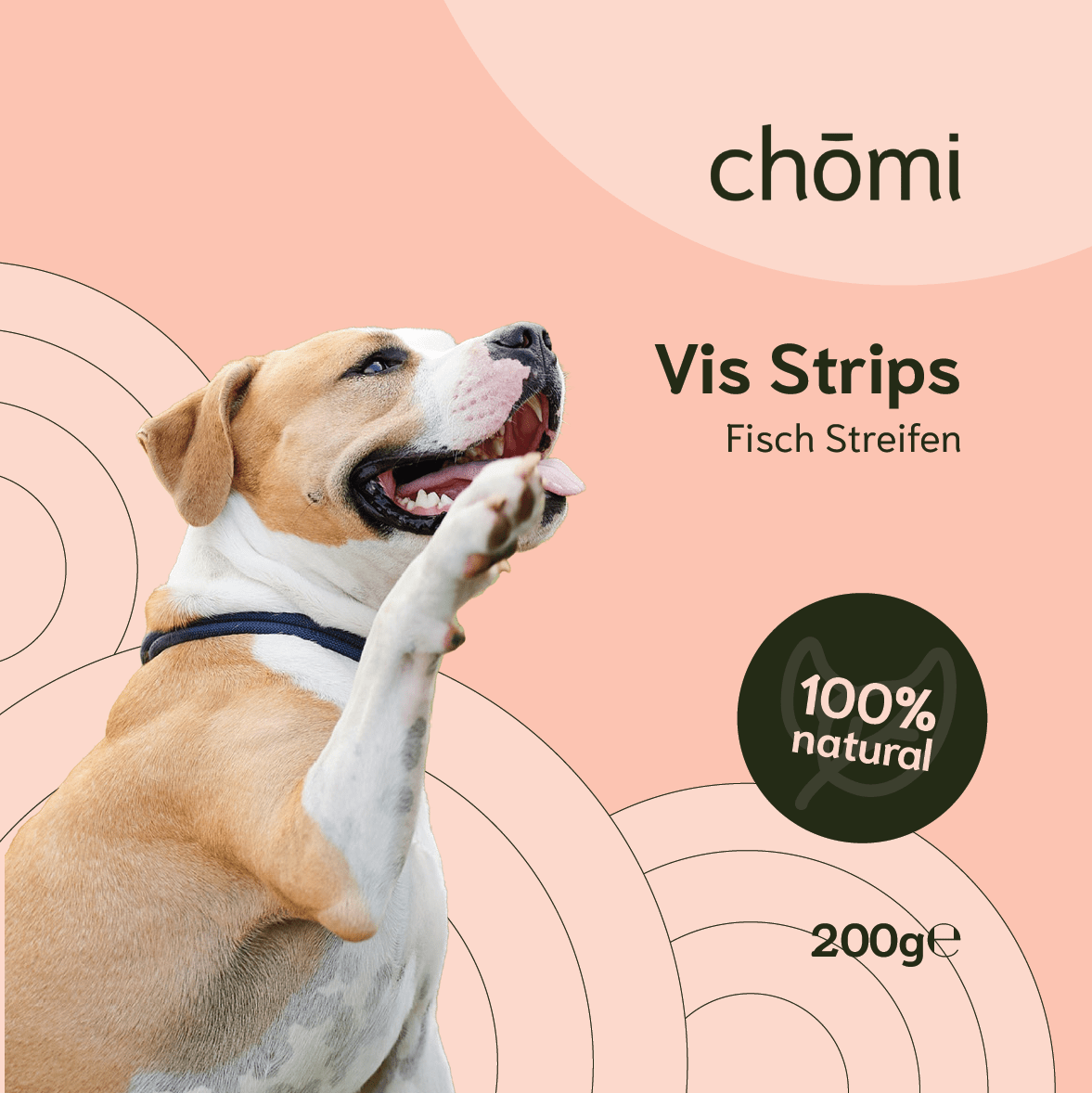 Vis Strips (200 Gram) 2 Vis Strips (200 Gram) - Afbeelding 2